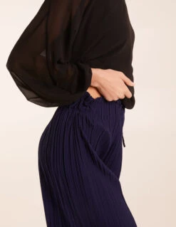Wide Leg Pleated Trousers -Repertoire Fashion Store BV2473 NAVY 0160 1