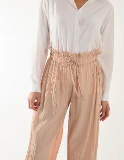 Pleated Trousers(Beige Pleated Trousers) -Repertoire Fashion Store SS23411 STONE 18877