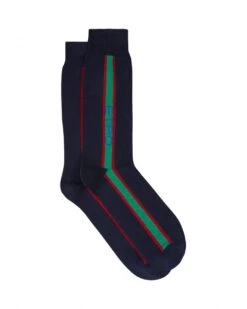 Etro Mens Blue Vertical Stripe Logo Socks